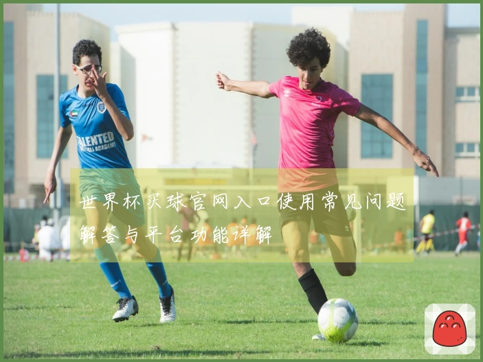 世界杯买球官网入口使用常见问题解答与平台功能详解