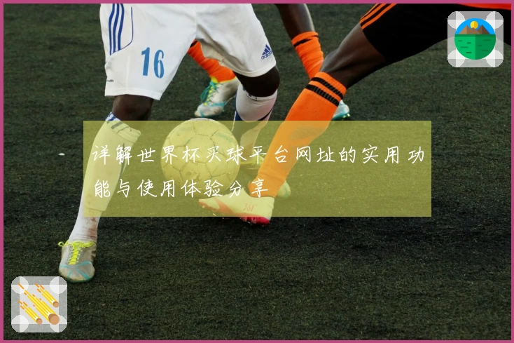 详解世界杯买球平台网址的实用功能与使用体验分享