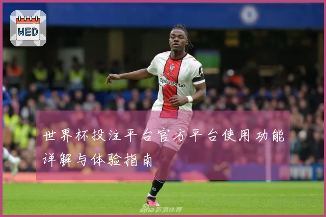 世界杯投注平台官方平台使用功能详解与体验指南