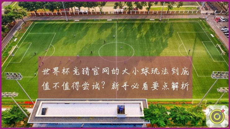世界杯竞猜官网的大小球玩法到底值不值得尝试？新手必看要点解析