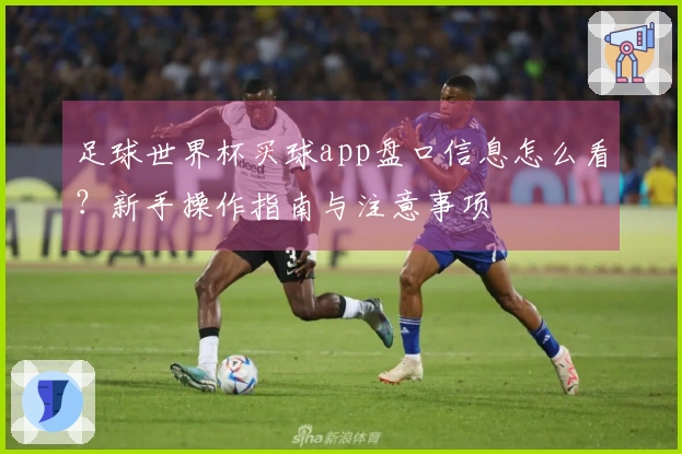 足球世界杯买球app盘口信息怎么看?新手操作指南与注意事项
