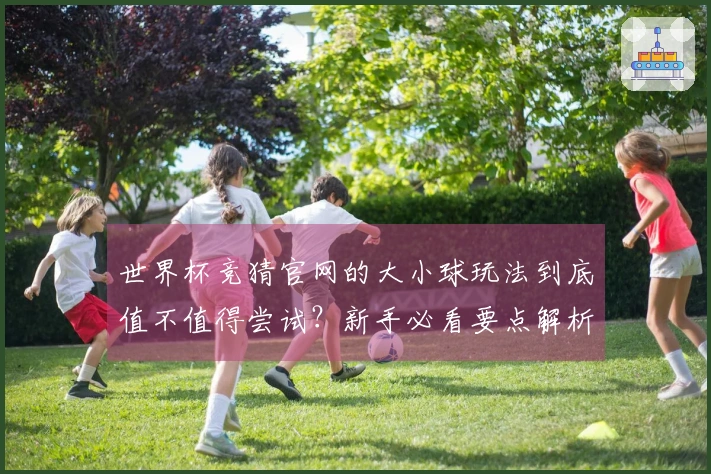 世界杯竞猜官网的大小球玩法到底值不值得尝试？新手必看要点解析