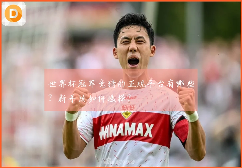 世界杯冠军竞猜的正规平台有哪些？新手该如何选择？