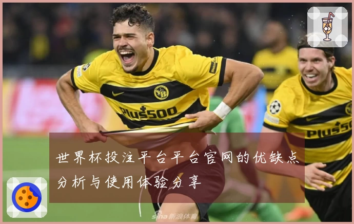 世界杯投注平台平台官网的优缺点分析与使用体验分享