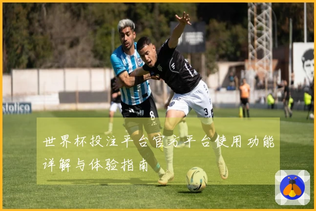 世界杯投注平台官方平台使用功能详解与体验指南