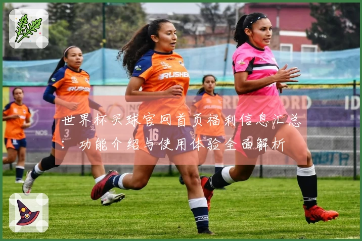 世界杯买球官网首页福利信息汇总：功能介绍与使用体验全面解析