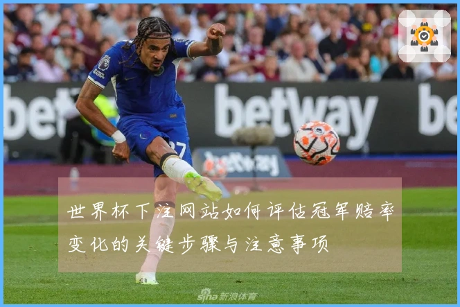 世界杯下注网站如何评估冠军赔率变化的关键步骤与注意事项
