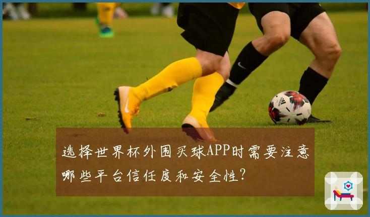 选择世界杯外围买球APP时需要注意哪些平台信任度和安全性？