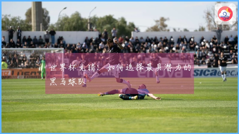 世界杯竞猜:如何选择最具潜力的黑马球队