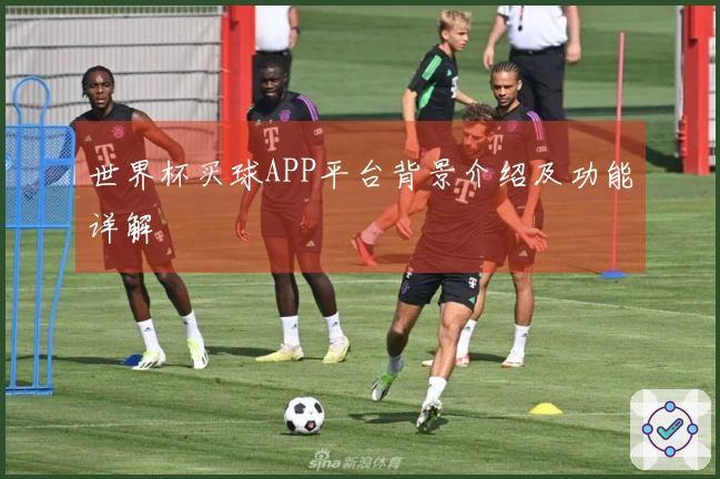 世界杯买球APP平台背景介绍及功能详解