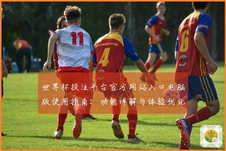 世界杯投注平台官方网站入口电脑版使用指南：功能详解与体验优化推荐