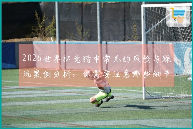 2026世界杯竞猜中常见的风险与踩坑案例分析，你需要注意哪些细节？