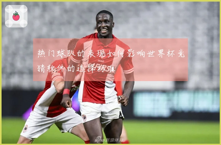 热门球队的表现如何影响世界杯竞猜软件的选择标准