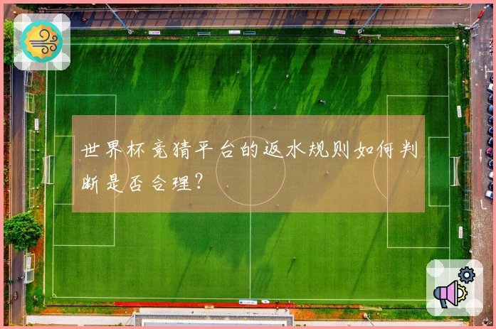 世界杯竞猜平台的返水规则如何判断是否合理？