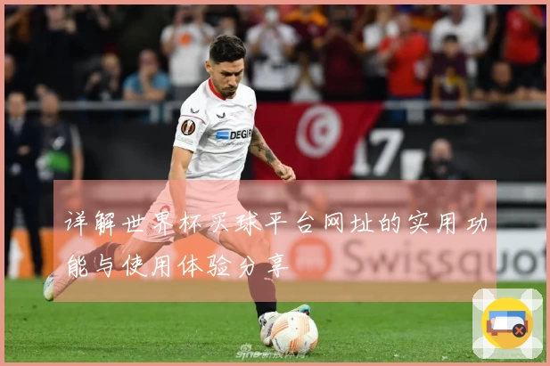 详解世界杯买球平台网址的实用功能与使用体验分享
