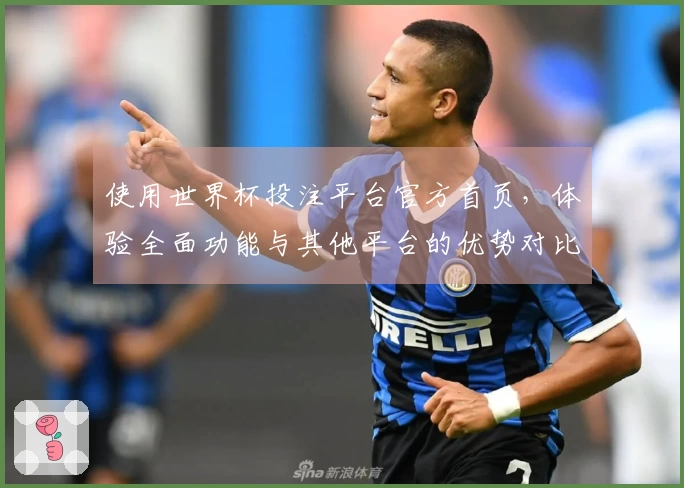 使用世界杯投注平台官方首页，体验全面功能与其他平台的优势对比分析