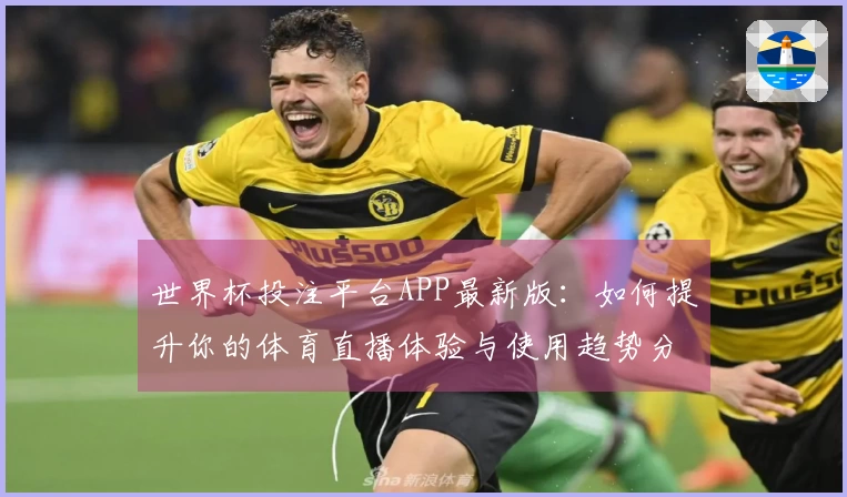 世界杯投注平台APP最新版：如何提升你的体育直播体验与使用趋势分析