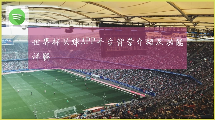 世界杯买球APP平台背景介绍及功能详解